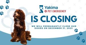 Yakima Pet Emergency Service will close permanently Dec. 31