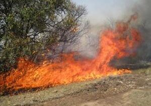 Bipartisan letter addressing wildfire smoke across the West urges more prescribed burns