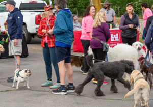 Community invited to fundraise for annual Dog Jog in Walla Walla