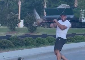 Mother duck attacks man who was trying to help its ducklings