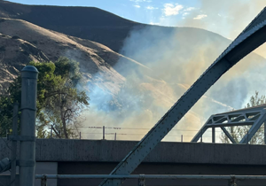 Brush fire burning near Yakima/Selah I-82 interchange