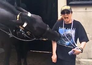 Tourist gets bitten by King’s Guard horse while posing for photo