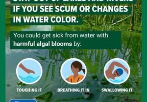 Yakima Health District finds algal bloom in Elton Pond