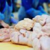 USDA Toughens Rules on Salmonella in Poultry