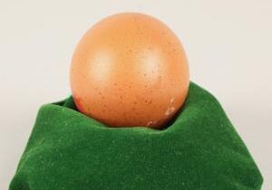 ‘One in a billion’ perfectly spherical egg discovered