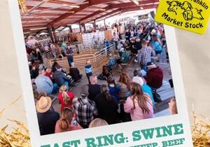 Market stock auction at Benton Franklin Fair breaks 2023 record with $1.4 million sale total