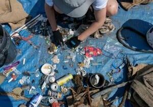 How plastic pollution poses challenge for Canada marine conservation