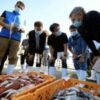 China to ‘gradually resume’ seafood imports from Japan after Fukushima ban