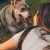 Why dog owners use a different voice to talk to their pet