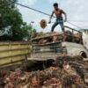 Relief in Brazil, Asia over delay to EU deforestation rules