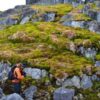 Scientists warn Antarctica turning green at increasingly alarming rate