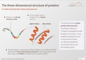 What are proteins again? Nobel-winning chemistry explained