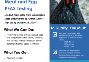 Department of Health offering free PFAS testing of home-raised eggs, meat in East Selah