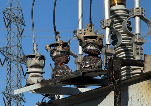 Power restored after bird damages substation in Benton City