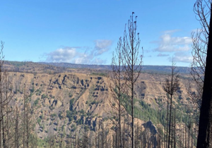 Fish and Wildlife managed lands impacted by Retreat Fire reopened