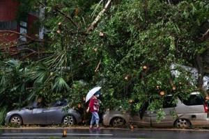 Taiwan cleans up after Typhoon Kong-rey leaves two dead