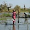 South Sudan floods affect 1.4 million, displace 379,000: UN