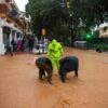 Spain flood epicentre survives fresh rain alert