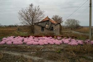 Vice tightens around remaining civilians in eastern Ukraine