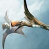 Fossil reveals evolution of flying reptiles that lived alongside dinosaurs