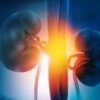 Study Finds GLP-1 Meds Can Also Help the Kidneys