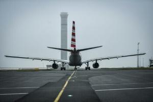 Paris airport shuts runways in search for runaway dog