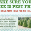 Check that perfect Christmas tree for invasive pests before you bring it home for the holidays