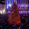 Don’t eat your Christmas tree, warns Belgium food agency