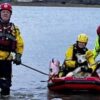 Firefighters rescue 24 sheep from flooded field