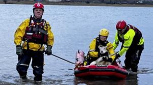 Firefighters rescue 24 sheep from flooded field