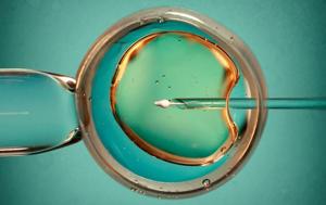 Can AI Help Make IVF More Successful?