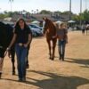 Scramble to shelter animals from Los Angeles wildfires