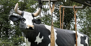 Thieves steal life-sized plastic cow from field